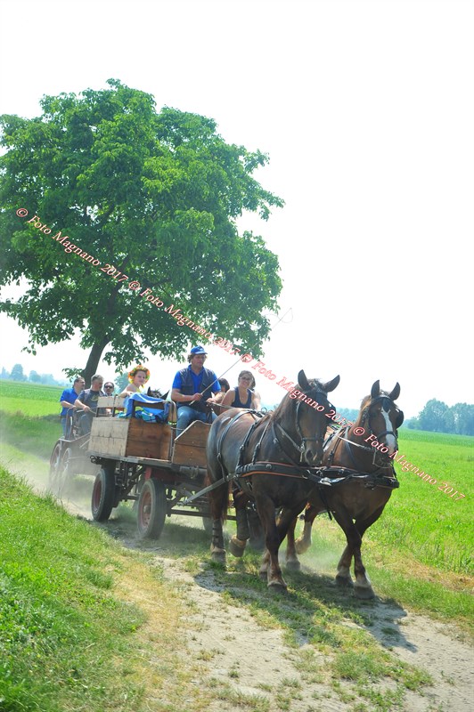 DSC_0843.JPG